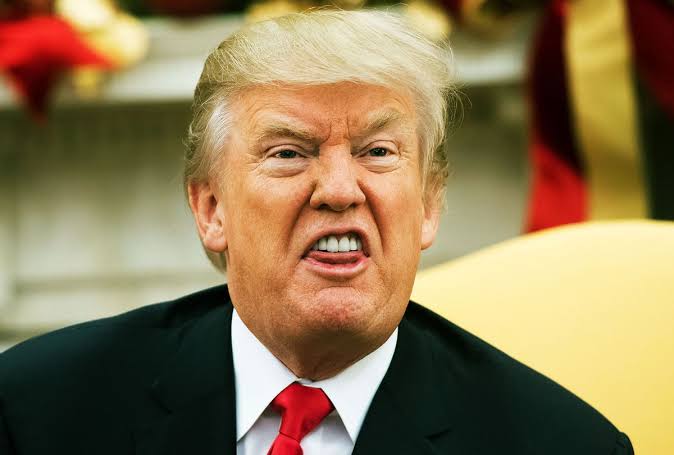 Trump to carry out mass detention and deportation of undocumented immigrants should he win 2024 election